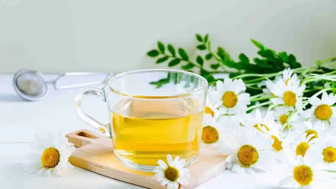 Asam Lambung Kambuh? Ini 7 Minuman Sehat yang Bisa Dikonsumsi